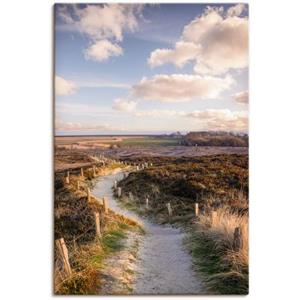 Artland Artprint Pad door Morsum Cliff Nature Reserve als artprint van aluminium, artprint op linnen, muursticker of poster in verschillende maten