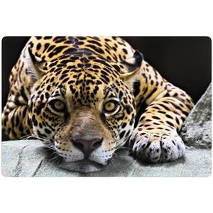 Wall-Art Glasbild "Jaguar", 100/70 cm