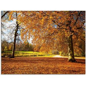 Artland Glasbild "Herbst bei Schlosses Nymphenburg", Wiesen & Bäume, (1 St.)