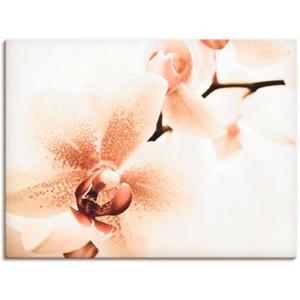 Artland Artprint Orchidee abstracte collage als artprint op linnen, muursticker of poster in verschillende maten