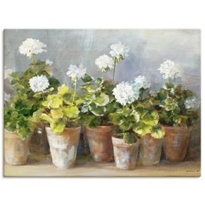 Artland Artprint Witte geraniums als artprint op linnen, muursticker of poster in verschillende maten