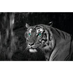 Bönninghoff Artprint op linnen Blue Eyed Tiger (1 stuk)