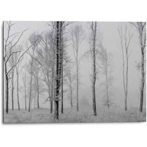 Reinders! Artprint Aluminium artprint stilleven natuur - zwart/wit - bos - bomen