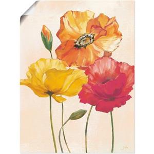 Artland Wandbild "Bunte Mohnblumen I", Blumenbilder, (1 St.)