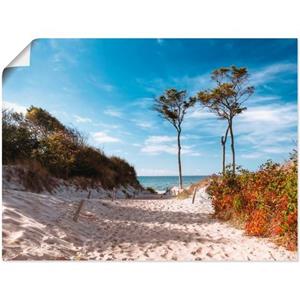 Artland Artprint Weststrand Darss als artprint op linnen, muursticker of poster in verschillende maten