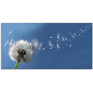 Artland Glasbild "Pusteblume", Blumen, (1 St.)