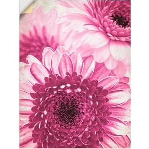 Artland Artprint Pinkkleurige gerbera als artprint op linnen, muursticker of poster in verschillende maten