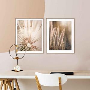 Reinders! Artprint Natuur botanisch - pampa - paardenbloem - close-up (2 stuks)