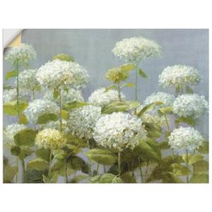 Artland Artprint Witte hortensia's tuin als artprint op linnen, muursticker of poster in verschillende maten