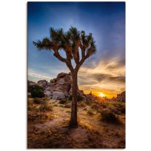 Artland Artprint Zonsondergang Joshua Tree nationaalpark als artprint van aluminium, artprint op linnen, muursticker of poster in verschillende maten