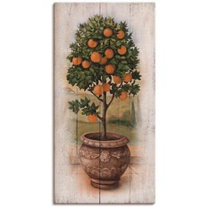 Artland Artprint Sinaasappelboompje met hout-look als artprint op linnen, muursticker of poster in verschillende maten