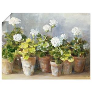 Artland Artprint Witte geraniums als artprint op linnen, muursticker of poster in verschillende maten