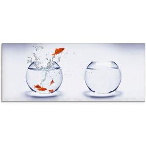 Artland Glasbild "Goldfischaquarium", Wassertiere, (1 St.)