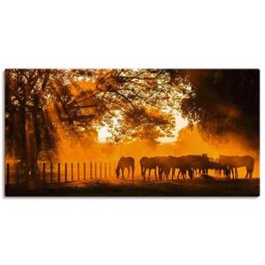 Artland Artprint Gouden licht op de paardenwei als artprint van aluminium, artprint op linnen, muursticker of poster in verschillende maten