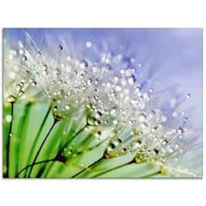 Artland Glasbild "Glitzernde Pusteblume", Blumen, (1 St.)