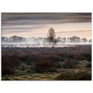 Artland Print op glas Noodlanding in verschillende maten