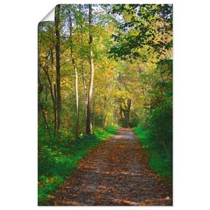 Artland Artprint Weg in het herfstbos als artprint van aluminium, artprint op linnen, muursticker of poster in verschillende maten