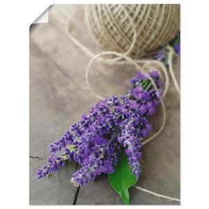 Artland Artprint Lavendel Struisvogel als artprint op linnen, muursticker of poster in verschillende maten