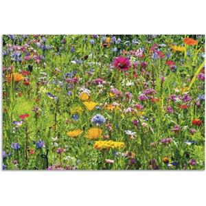 Artland Wandbild "Bunte Blumenwiese", Blumenwiese, (1 St.)