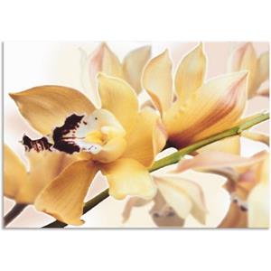 Artland Artprint Gele orchidee als artprint van aluminium, artprint op linnen, muursticker of poster in verschillende maten