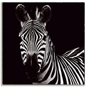 Artland Artprint Zebra II als artprint op linnen, muursticker of poster in verschillende maten