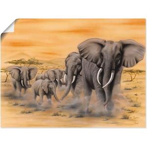 Artland Wandbild "Steppenelefanten", Elefanten Bilder, (1 St.)