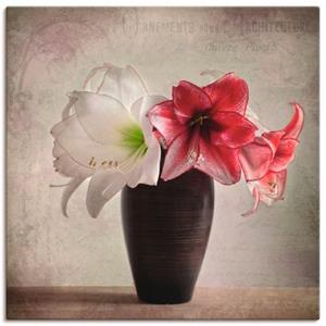 Artland Artprint Amaryllis vintage I als artprint van aluminium, artprint op linnen, muursticker of poster in verschillende maten