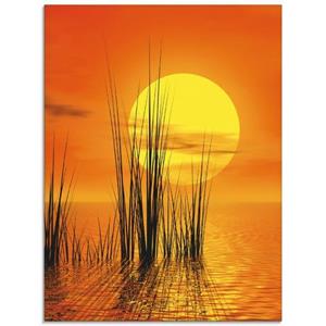 Artland Print op glas Zonsondergang met riet in verschillende maten