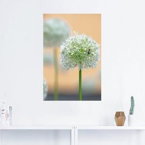 Artland Artprint Grote sierlook in pastel als artprint van aluminium, artprint op linnen, muursticker of poster in verschillende maten