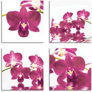 Artland Artprint op linnen Vlinderorchidee set van 4, verschillende maten (4 stuks)