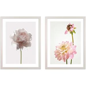 Komar Artprint met lijst Floral Delights machinaal