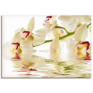 Artland Artprint Witte orchidee met waterreflectie als artprint op linnen, muursticker of poster in verschillende maten