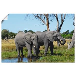 Artland Artprint Afrikaanse olifanten als artprint van aluminium, artprint op linnen, muursticker of poster in verschillende maten