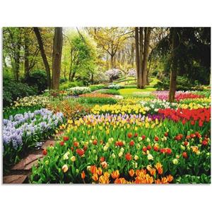 Artland Wandbild "Tulpen Garten Frühling", Blumenwiese, (1 St.)