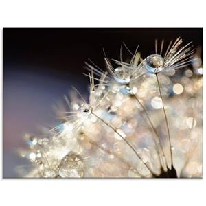 Artland Glasbild "Pusteblume Fantasie", Blumen, (1 St.)