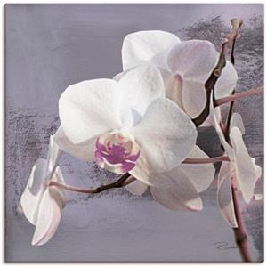 Artland Artprint Orchideeën voor violet I als artprint van aluminium, artprint op linnen, muursticker of poster in verschillende maten