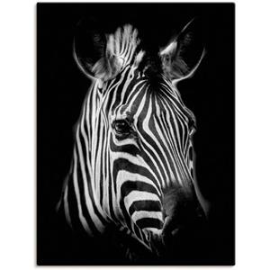 Artland Artprint Zebra als artprint van aluminium, artprint op linnen, muursticker of poster in verschillende maten