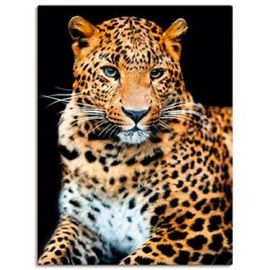 Artland Wandbild "Wütender wilder Leopard", Wildtiere, (1 St.)