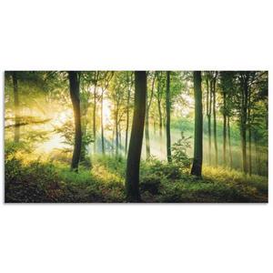 Artland Artprint Herfst in het bos II als artprint van aluminium, artprint op linnen, muursticker of poster in verschillende maten