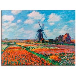 Artland Artprint Tulpenvelden in Nederland, 1886 als artprint van aluminium, artprint op linnen, muursticker of poster in verschillende maten