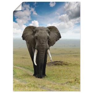 Artland Artprint Olifant als artprint van aluminium, artprint op linnen, muursticker of poster in verschillende maten