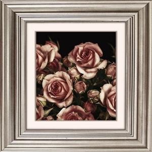 Queence Artprint op acrylglas Rozen bloemen