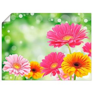 Artland Artprint Natuurlijke romantiek - Gerberas als artprint van aluminium, artprint op linnen, muursticker of poster in verschillende maten