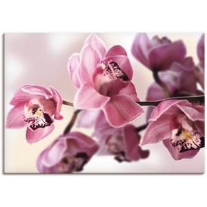 Artland Artprint Roze orchidee als artprint van aluminium, artprint op linnen, muursticker of poster in verschillende maten