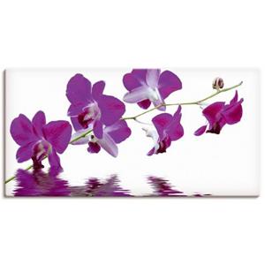 Artland Artprint Violette orchideeën als artprint op linnen, muursticker of poster in verschillende maten