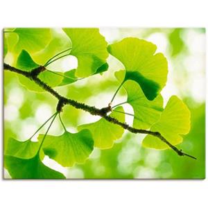 Artland Artprint Ginkgo als artprint op linnen, muursticker of poster in verschillende maten