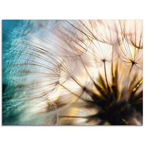 Artland Glasbild "Pusteblume Makro abstrakt", Blumen, (1 St.)