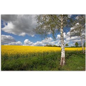 Artland Wandbild "Rapsfeld", Wiesen & Baumbilder, (1 St.), als Alubild, Outdoorbild, Poster in verschied. Größen