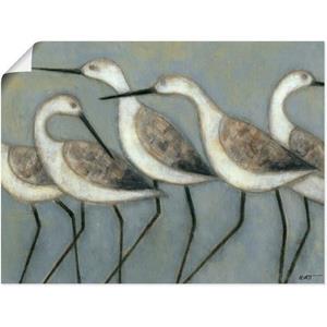 Artland Artprint Kustvogels I als artprint van aluminium, artprint op linnen, muursticker of poster in verschillende maten