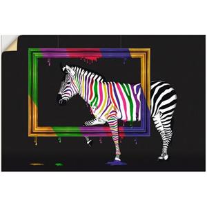 Artland Artprint De regenboog zebra als artprint van aluminium, artprint op linnen, muursticker of poster in verschillende maten